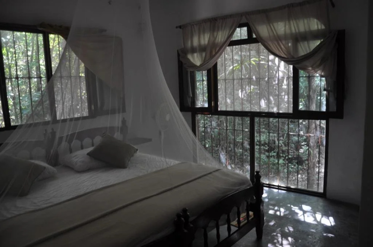 Jolie Jungle Eco Hotel