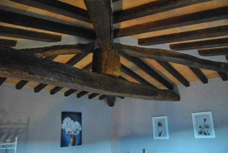 Standard Quadruple Duplex room