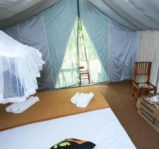 Tent