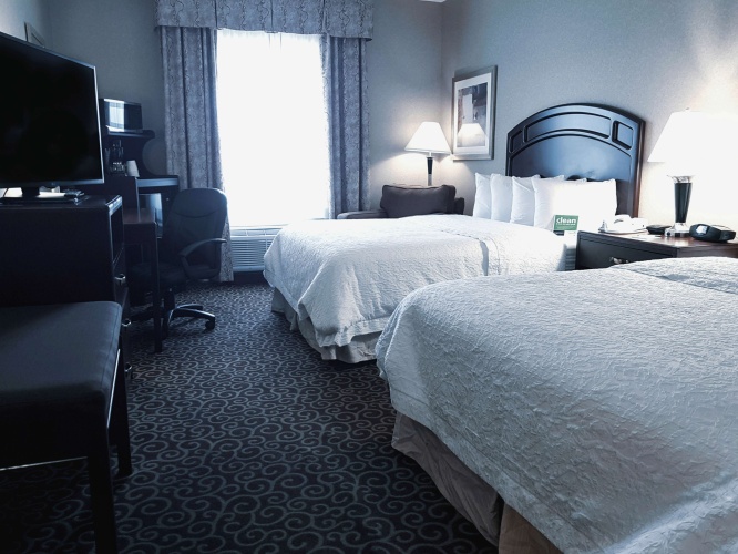 Hampton Inn & Suites by Hilton Edmonton International Airpor photo 7