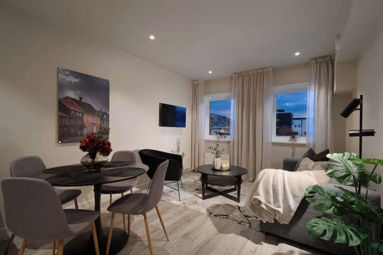 1 Bedroom Apartment with city view