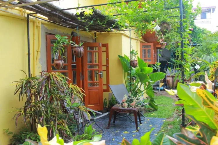 Standard Double room with garden view