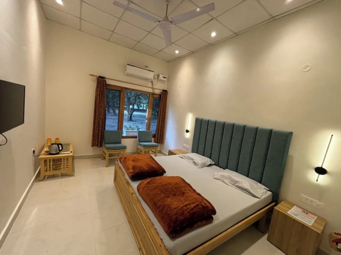 Standard Double room with park view