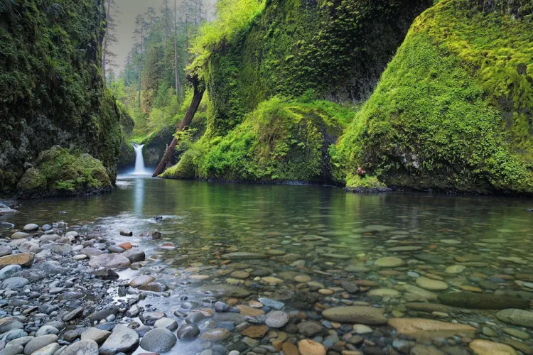 Under Canvas Columbia River Gorge