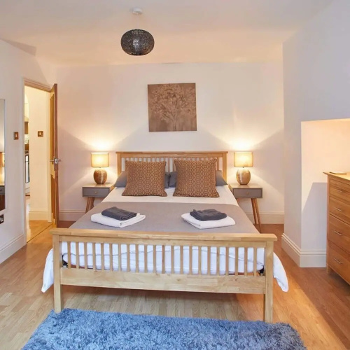 Host Stay Rock Pipit