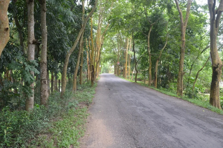 Lawachara Eco Cottage