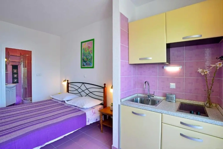 Studio with balcony and with sea view