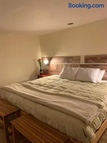 Gaia House Hostel