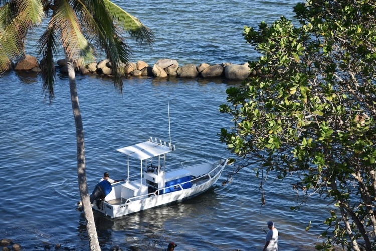 Island Breeze Fiji