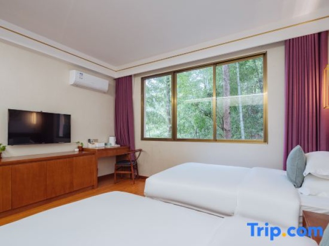 Standard Twin room with mountain view