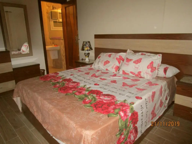 Luxury Furnished Apartment