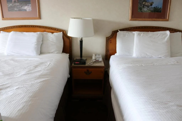 Gray Wolf Inn & Suites