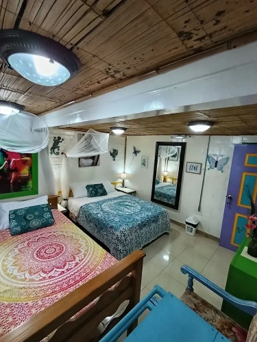 1 Bedroom Standard Family Basement room