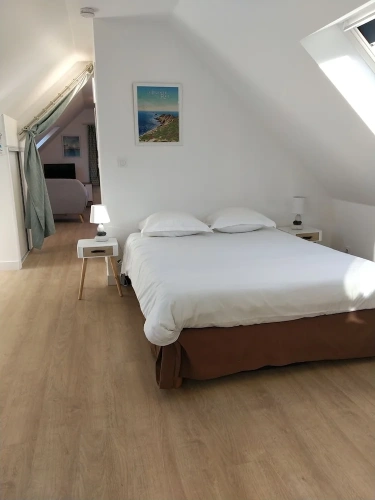 Comfort Apartment