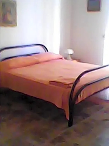 B&B Camelie