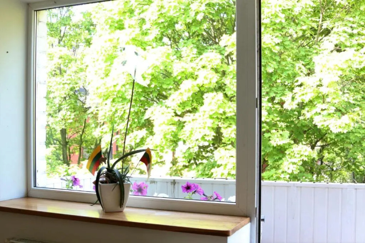 Scandinavian Breeze Apartment