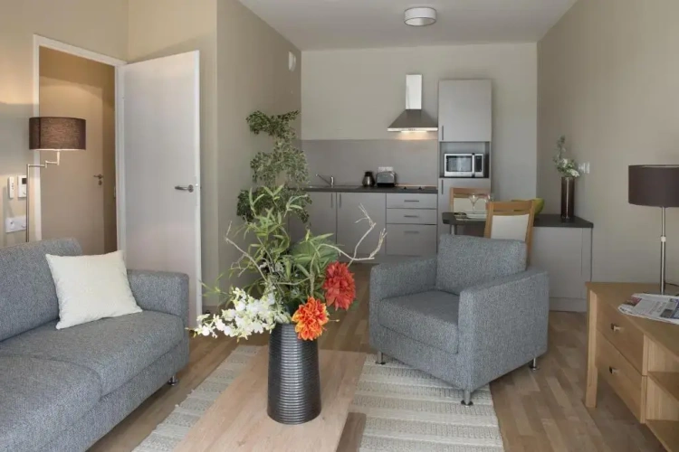 Standard Apartment with balcony and with view