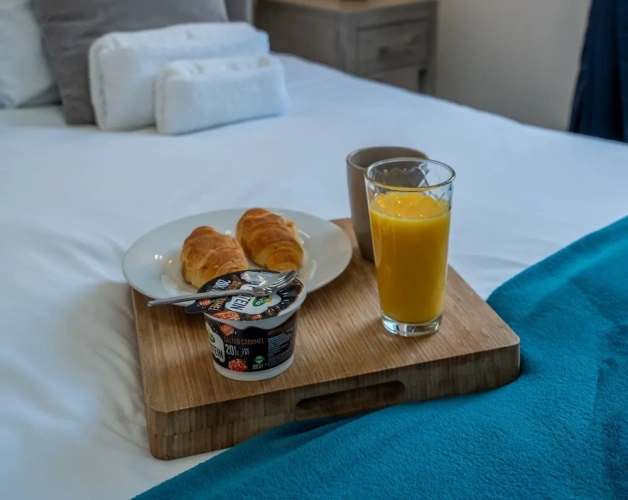 Deluxe Double Suite with city view