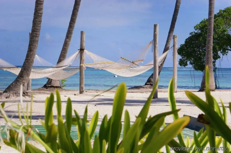 The PUNTACANA Hotel