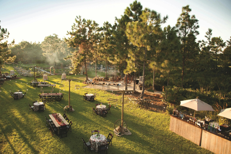 Jw Marriott Orlando, Grande Lakes photo 21