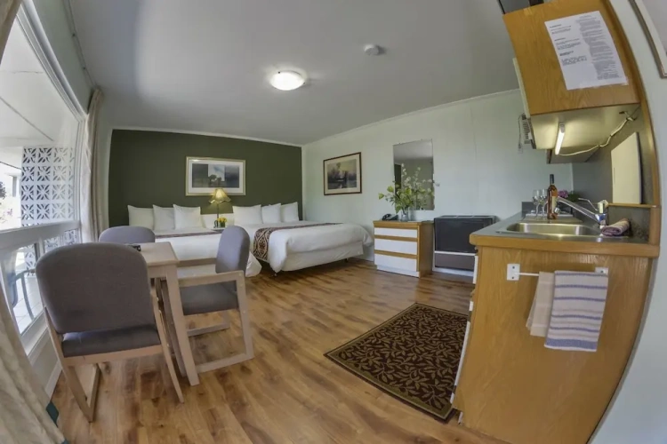 Quadruple Suite