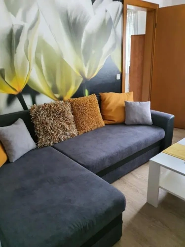 Duplex Apartment with balcony and with view