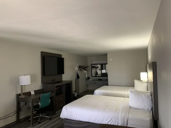 Quadruple Suite