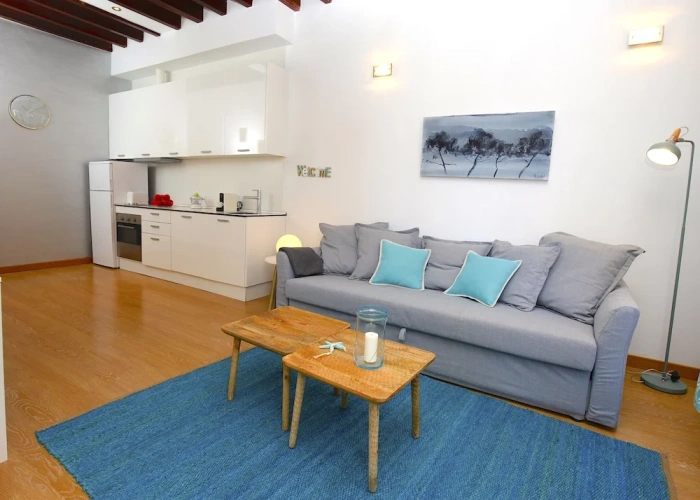 1 Bedroom Apartment with balcony