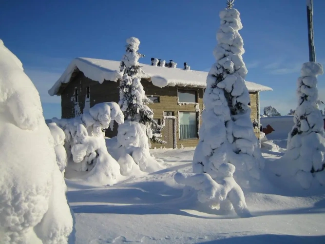 Cottage