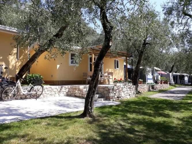 Superior Quadruple Bungalow