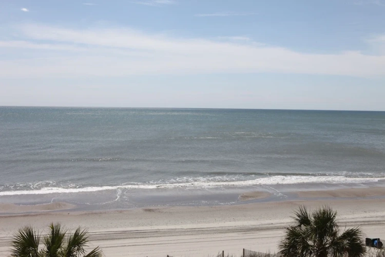 Quadruple Studio with balcony and oceanfront