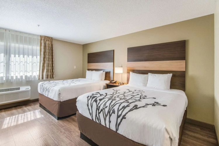Quadruple Suite