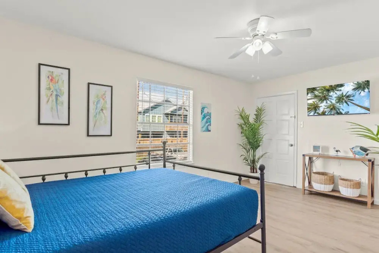 Tranquil Turquoise: Pet Friendly