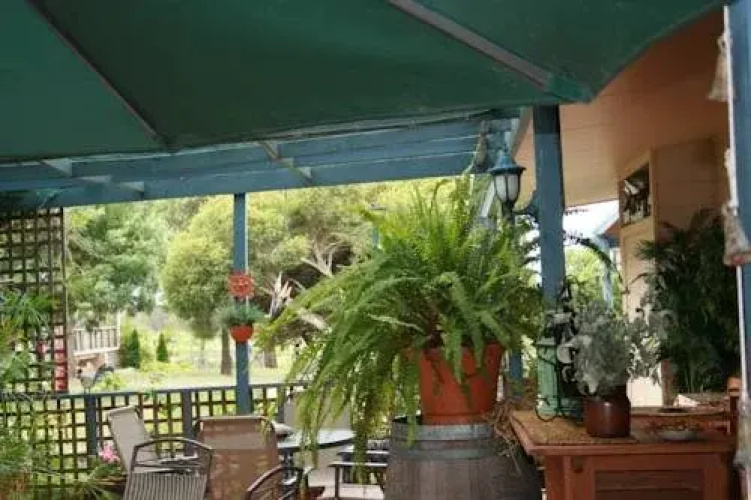 Romantic Vineyard