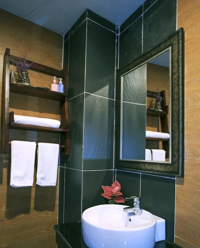 Deluxe Double room with balcony and with city view