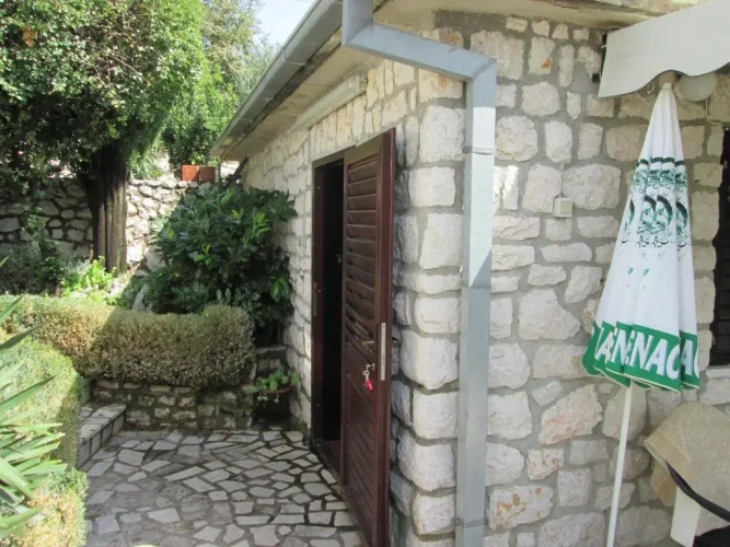 Family Studio