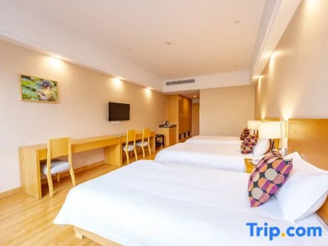 Superior Double room with city view