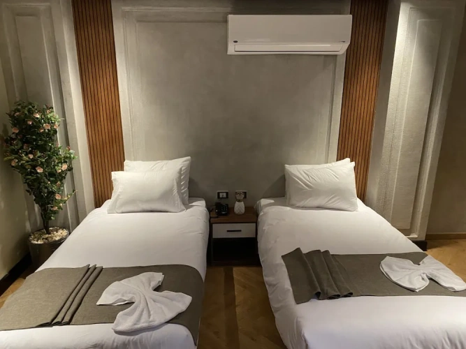 Superior Twin room with city view