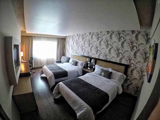 Executive Single room