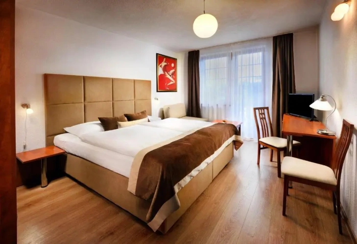 Standard Double room with balcony and with park view
