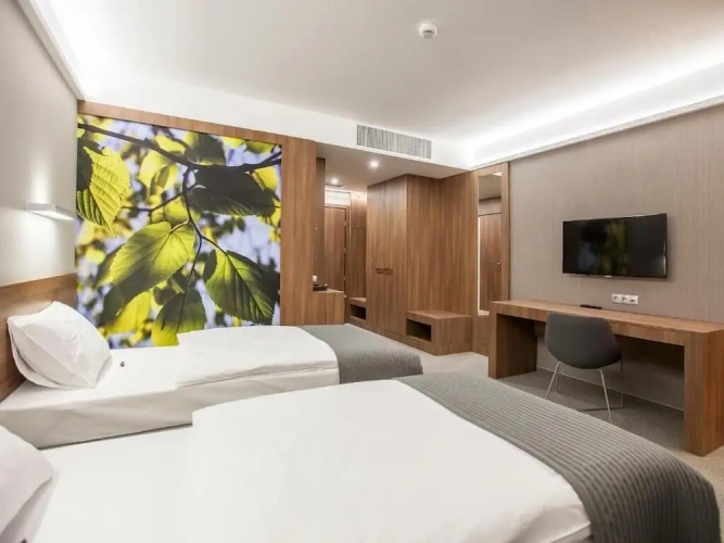 Deluxe Double room