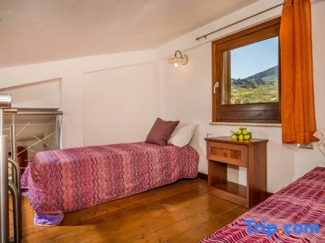 1 Bedroom Quadruple Apartment with balcony