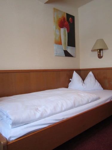 Economy Single room