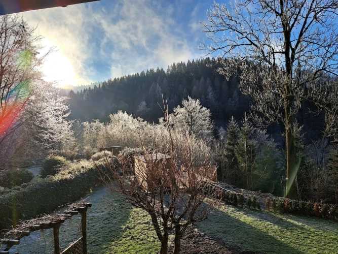 Standard Double room with balcony and with mountain view