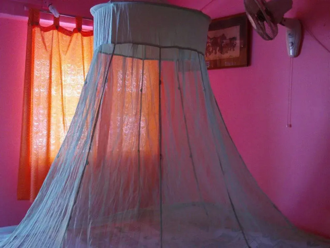 Mamoos Place