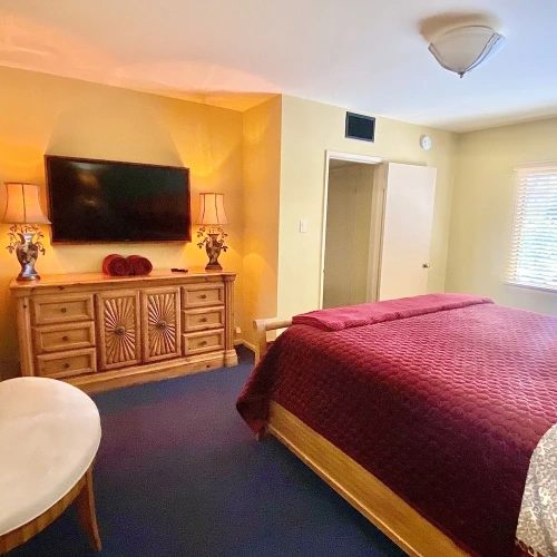 1 Bedroom Deluxe Double Suite
