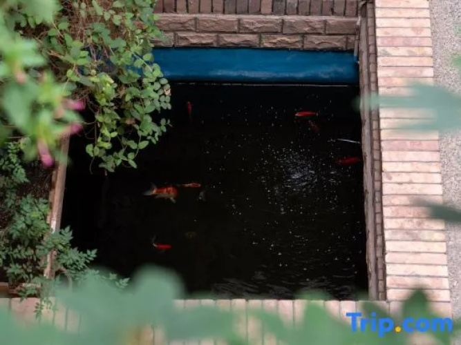 Yicheng Homestay