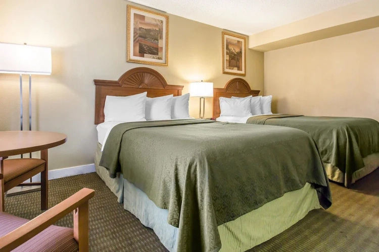 Guest rooms
