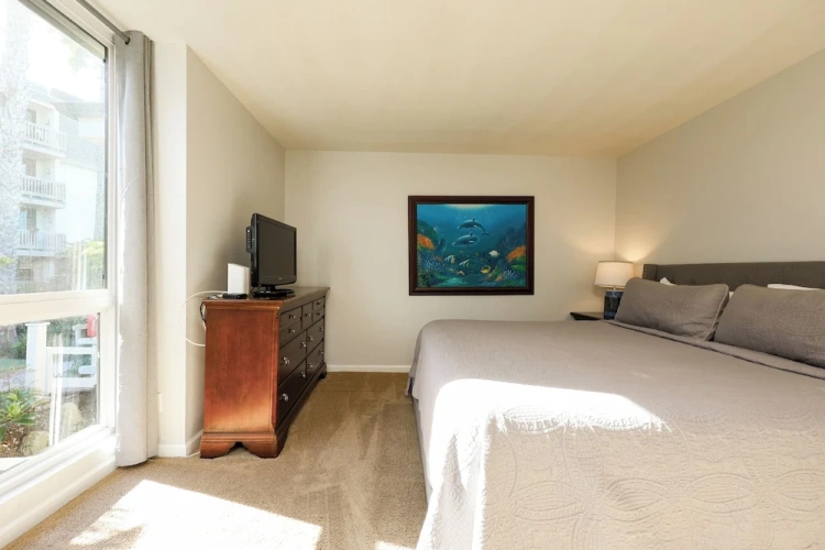 Standard Double room with balcony and with ocean view