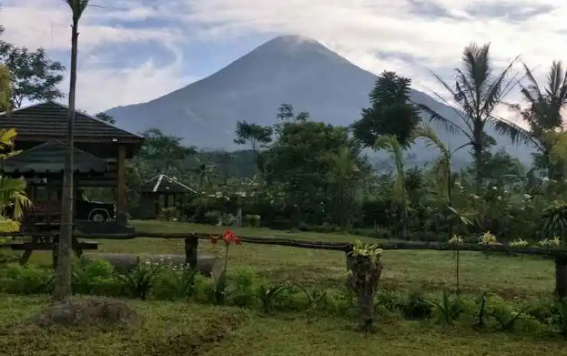 @Niek Homestay